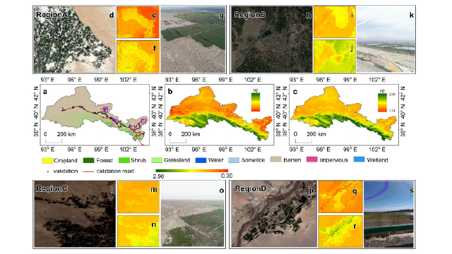 Graphic for oasisation ecology paper