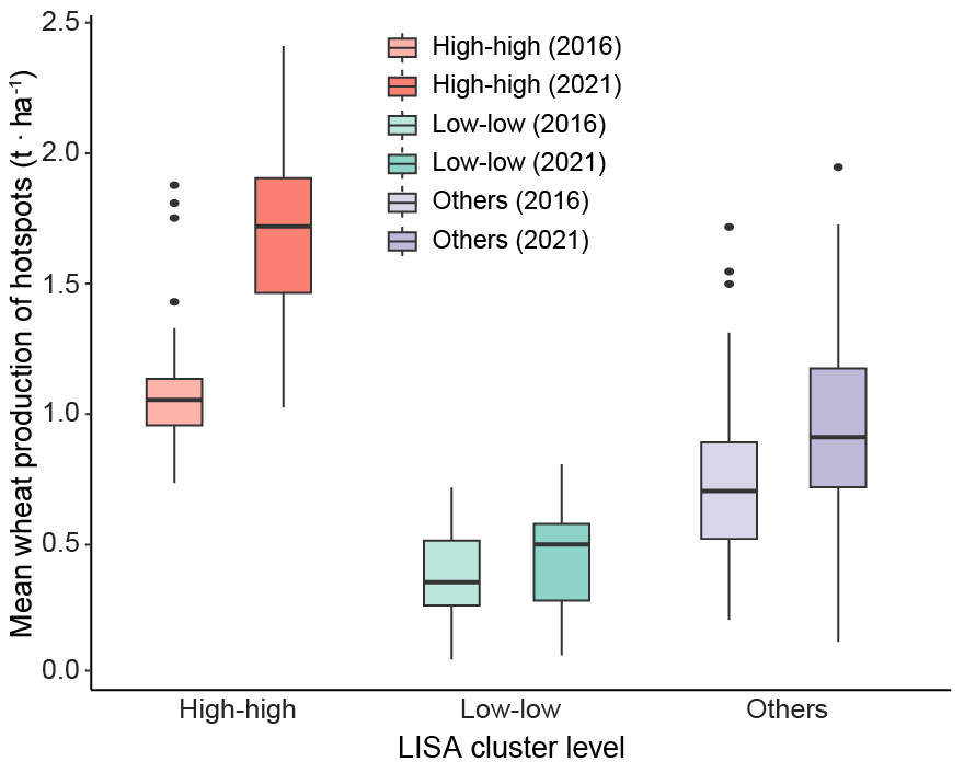 Figure 5. Mean wheat production of hotspot and non-hotspot areas based on the results of LISA analysis.