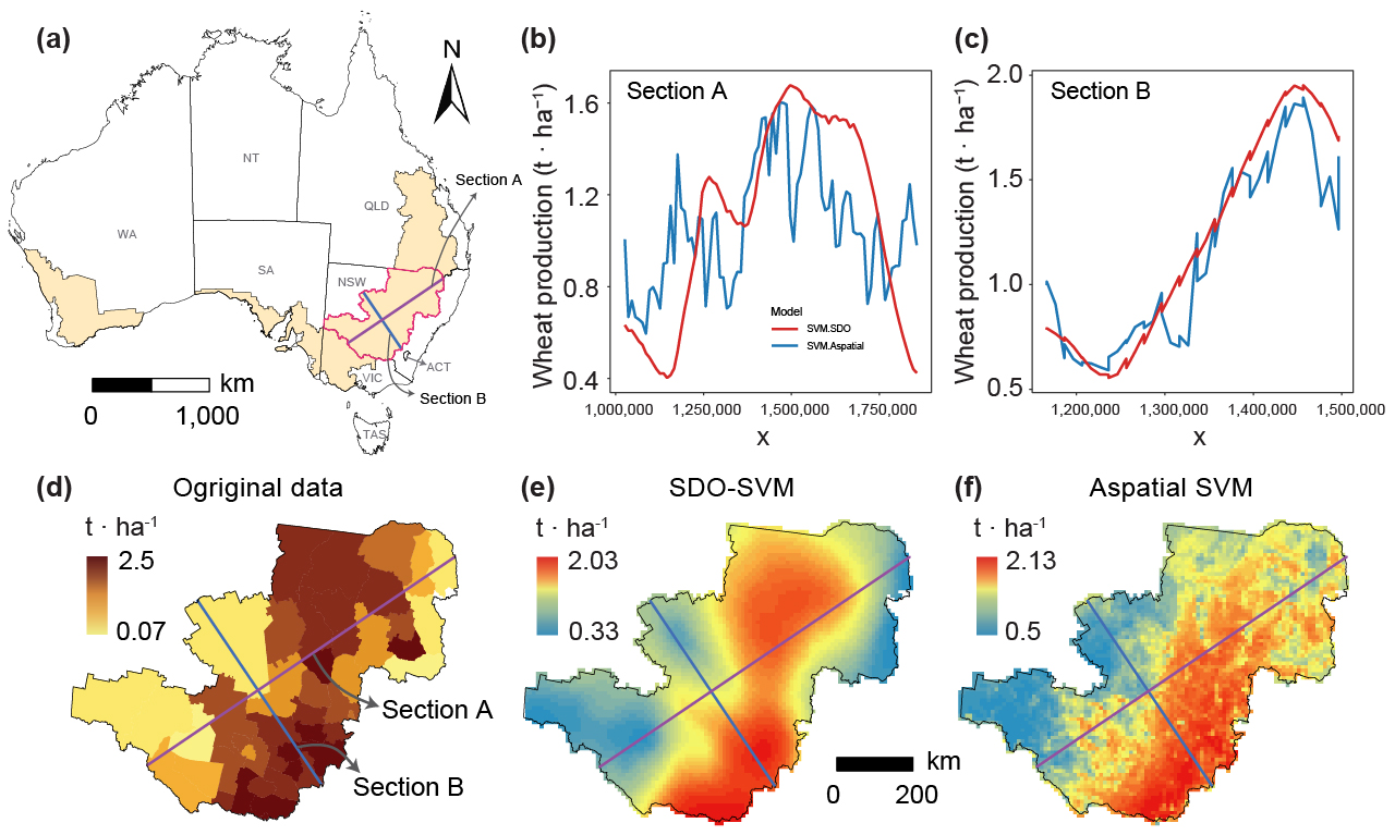 Figure 13. Comparison of SDO and aspatial model predictions along cross-sections in the wheat belt region of New South Wales. (a) Locations of section A (southwest to northeast) and section B (northwest to southeast) in the wheat belt region of New South Wales. (b, c) Predicted wheat production along sections A and B, comparing SDO-SVM and aspatial SVM models. (d) Original wheat production data with cross-sections overlaid. (e, f) Predicted wheat production from the SDO-SVM model (e) and the aspatial SVM model (f), with overlaid cross-sections.