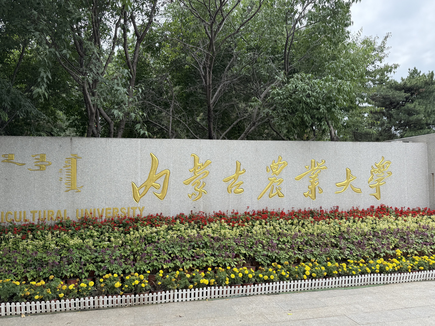 Entrance to Inner Mongolia Agricultural University